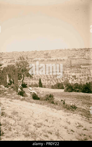 Mount of Olives, Bethany, Jerusalem from Olivet. 1900, Jerusalem, Israel Stock Photo