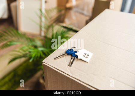 close-up view of keys from new house on cardboard box during relocation Stock Photo