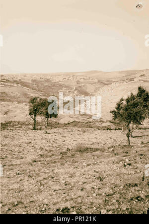 Mount of Olives, Bethany, Jerusalem from the south. 1900, Jerusalem, Israel Stock Photo