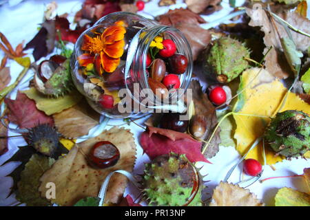 bright colors of autumn foliage with flowers and chestnuts, berry acorns for decoration on holiday Stock Photo