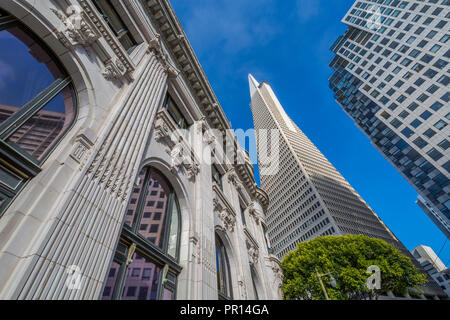 View of Transamerica Pyramid building in the financial district of Downtown, San Francisco, California, United States of America, North America Stock Photo