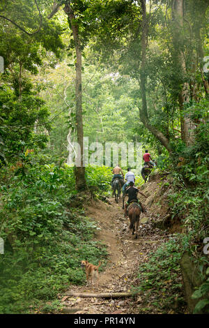 Campesinos riding horses along the Pueblito trail in the heart of Tayrona National Park, Colombia, South America Stock Photo