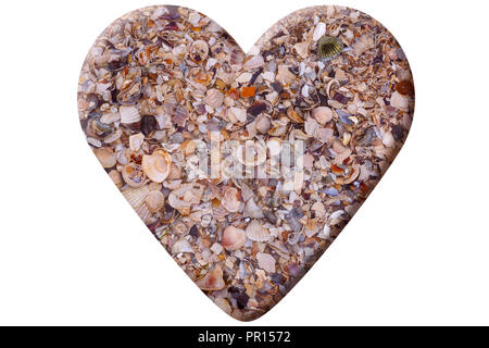 heart made of seashells isolated on white Stock Photo