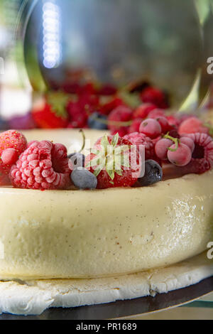 Big white ice cream vanilla cake with fresh red forest berries close up Stock Photo