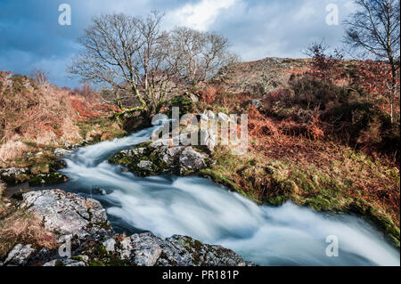 River in the foothills of Cnicht, Croesor Valley, Snowdonia National Park, Gwynedd, North Wales, Wales, United Kingdom, Europe Stock Photo