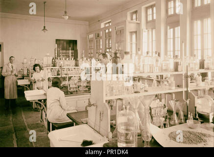 Zionist activities in Palestine. The Hebrew University. Chemistry laboratory. 1925, Jerusalem Stock Photo