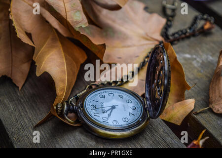 Pocket watch on autumn leaves Stock Photo