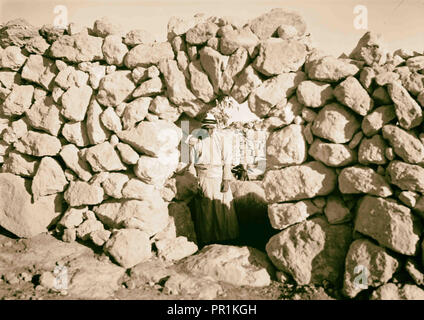 Sheep fold cave. Entrance, with shepherd. 1934, Middle East Stock Photo