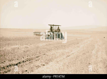 Modern harvester on Plain of Esdraelon. May 26, 1935. 1935, Israel Stock Photo