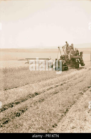 Modern harvester on Plain of Esdraelon. May 26, 1935. 1935, Israel Stock Photo