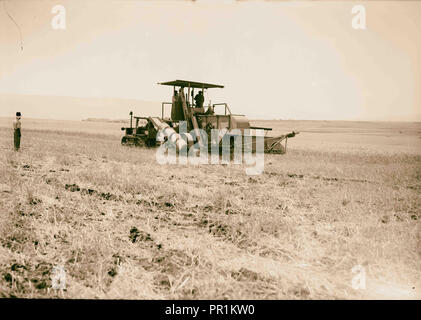 Modern harvester on Plain of Esdraelon. May 26, 1935. 1935, Israel Stock Photo