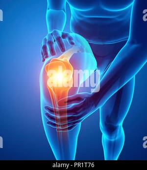 Close-up view of the knee joint bones 3D rendering illustration. Human ...