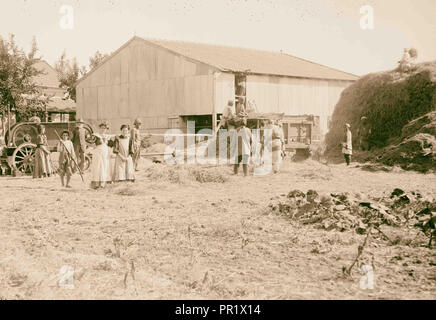 German Colonies in Palestine. Wilhelm [i.e., Wilhelma] & Sarona. 1898, Israel Stock Photo