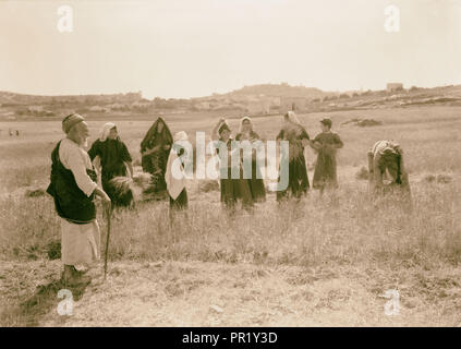 Harvesting and threshing floor scenes in the story of Ruth & Boaz 1925 Stock Photo