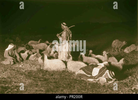 Agriculture, etc. 'While shepherds watched their flocks' Night scene showing Bethlehem in the distance. 1925, West Bank Stock Photo