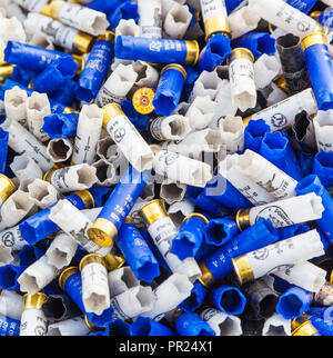 Shotgun shells. Background of many colorful shot empty shotgun shells, blue, red, yellow, purple colored Stock Photo