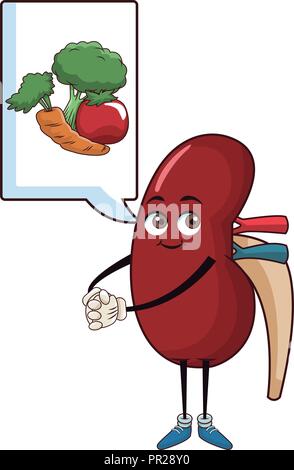 Kidney funny cartoon Stock Vector