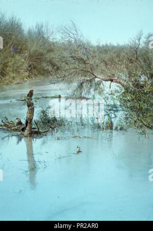 Jericho and Dead Sea area and River Jordan. River Jordan, the Ford. 1950 Stock Photo