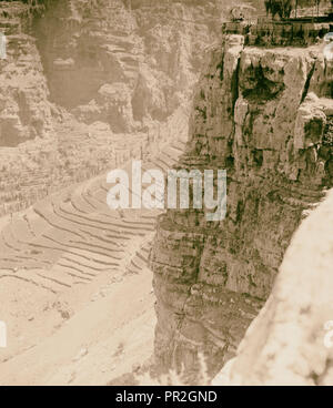 Cedars and Robinson family. 1925, Lebanon Stock Photo