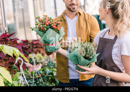 cropped image of florist helping customer choosing potted plant at flower shop Stock Photo