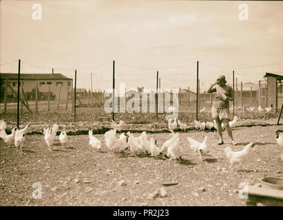 Nahalal. Girls' Agricultural Training School. Poultry yards. 1920, Israel, Nahalal Stock Photo