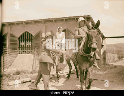 Nahalal. Girls' Agricultural Training School. The plow mules. 1920, Israel, Nahalal Stock Photo