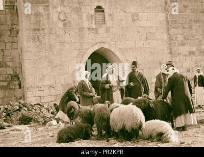 Sheep market at Herod's Gate. 1934, Jerusalem, Israel Stock Photo