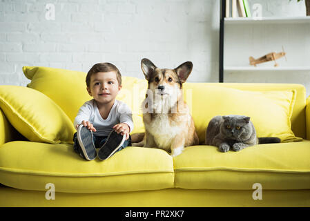 boy sitting on yellow sofa with welsh corgi dog and scottish fold cat