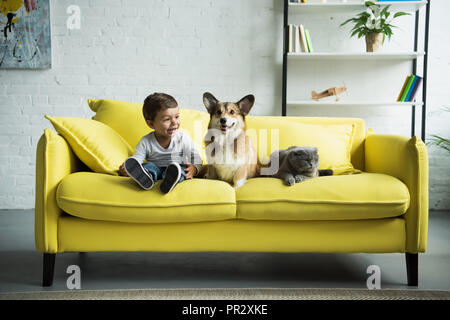 adorable boy with welsh corgi dog and scottish fold cat sitting on yellow sofa at home