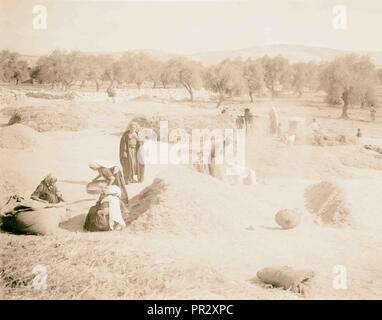 Ruth series Threshing floor, winnowing, 1898, Middle East, Israel and/or Palestine Stock Photo