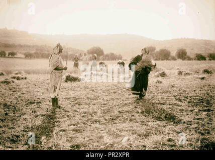 Ruth series Threshing floor, winnowing, 1898, Middle East, Israel and/or Palestine Stock Photo