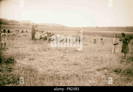 Ruth series Threshing floor, winnowing, 1898, Middle East, Israel and/or Palestine Stock Photo