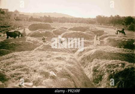 Ruth series Threshing floor, winnowing, 1898, Middle East, Israel and/or Palestine Stock Photo