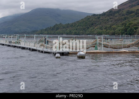 Salmon Farm at Fort William and Loch Linnhe views of water and mountains in Scotland Stock Photo