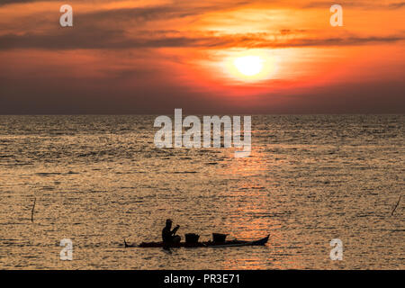 People fishing cockling off coast of Meruntum beach at sunset Kota Kinabalu Sabah Malaysia Borneo Stock Photo