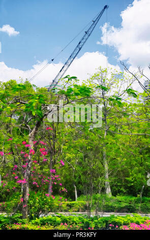 A construction crane rising above trees and flowers in the overseas chinese town area of shenzhen china. Stock Photo