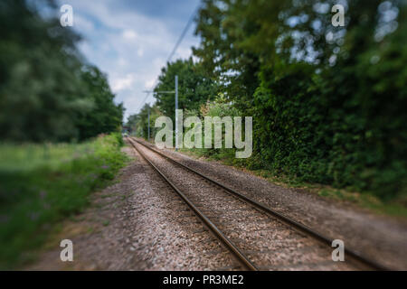 Modern tram tracks through the forest on the outskirts of London Stock Photo