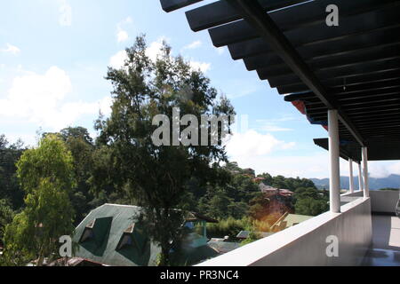 Roof deck with view of trees Stock Photo