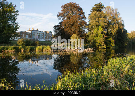 Waverley Abbey House, a charming Grade II listed Georgian mansion, reflected in the lake, among mature trees in autumn, Surrey, UK Stock Photo