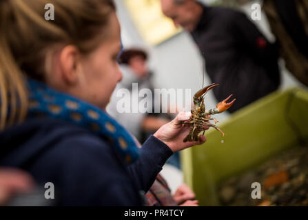 29 September 2018, Baden-Wuerttemberg, Stuttgart: A young visitor holding a crayfish in her hand in a hall of the 100th Main Agricultural Festival (LWH) at the Cannstatter Wasen. Photo: Christoph Schmidt/dpa Stock Photo