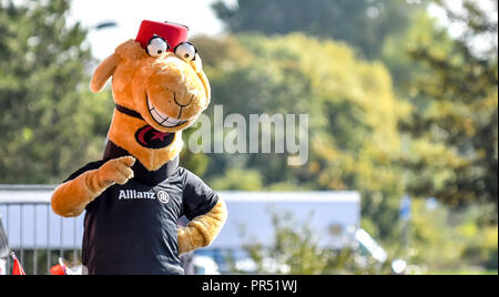 London, UK. 29th Septemebr 2018. Saracens mascot Sarrie the Came Gallagher Premiership match between Saracens and Bath Rugby at the Allianz Park, London, England on 29 September 2018. Photo by Phil Hutchinson. Editorial use only, license required for commercial use. No use in betting, games or a single club/league/player publications. Stock Photo