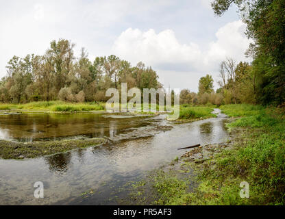 landscape with Ticino river oxbow lake clear shallow waters, shot in a bright cloudy fall day  in Ticino park near Bernate, Milan, Lombardy, Italy Stock Photo