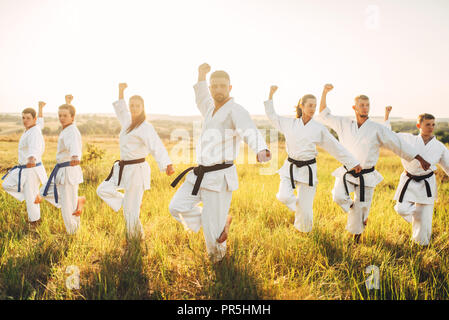 Karate class work out the stand, training in summer field. Martial art workout outdoor, technique practice Stock Photo