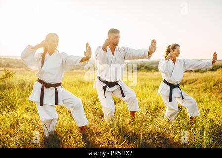 Two female karate training combat skill with male instructor in summer field. Martial art workout outdoor, technique practice Stock Photo