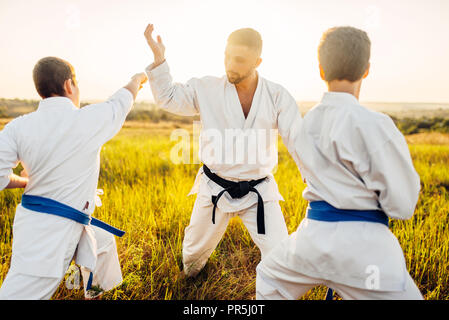 Junior karate fighters with master, combat skill training in summer field. Martial art workout outdoor, technique practice Stock Photo