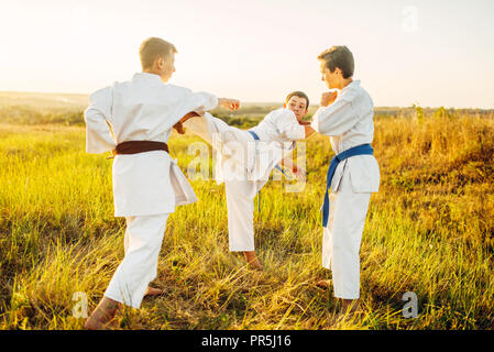 Junior karate fighters, training fight in summer field. Martial art workout outdoor, technique practice Stock Photo