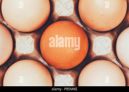 the eggs in the carton boxes laying, top view closeup Stock Photo