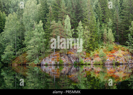 Trees reflecting in a quiet lake natural background, Telemark canal, Southern Norway Stock Photo