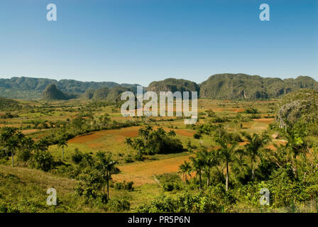 Vinales valley  view across lush green  landscape Stock Photo