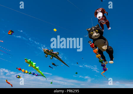 Novelty animal kites being flown against a deep blue sky Stock Photo